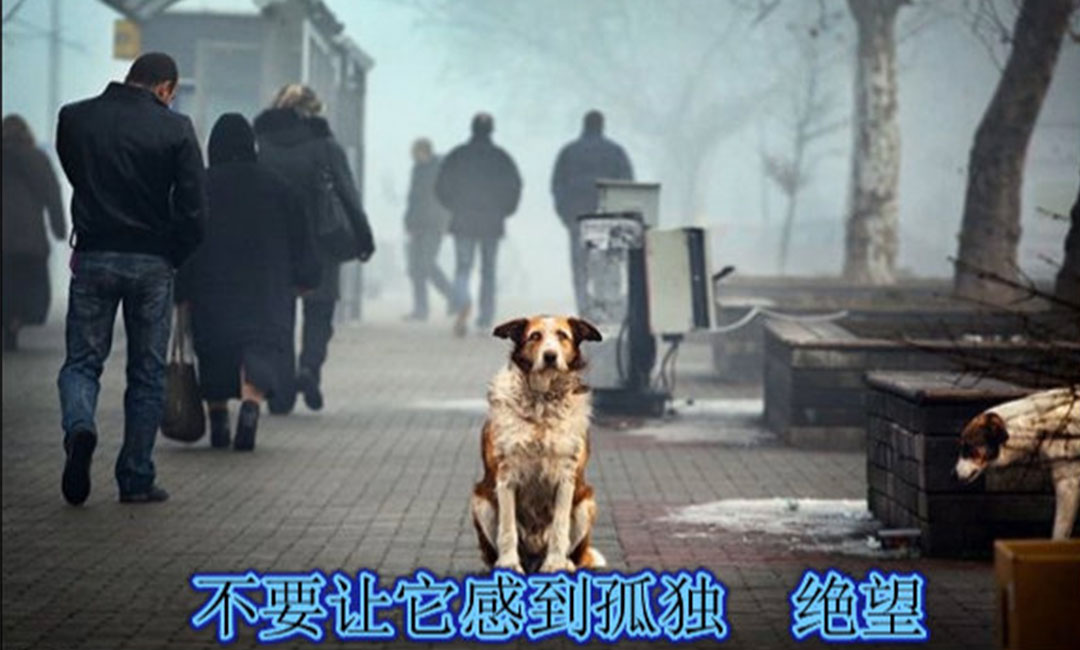 梅州梅州爱影圈微博微信转发案例